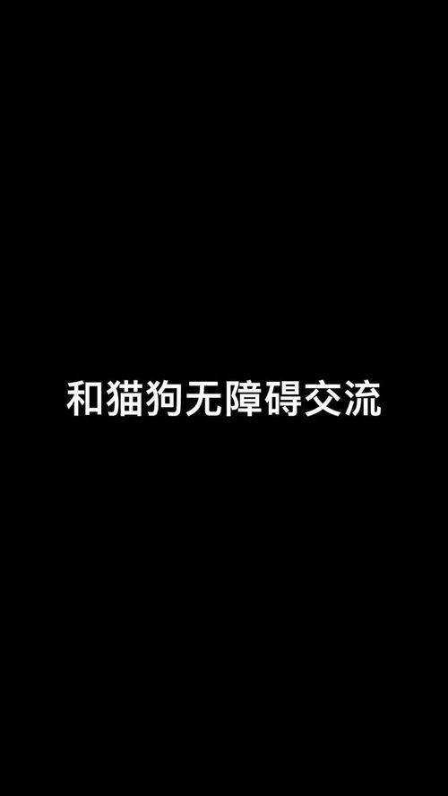 桌面萌宠,打造个性化桌面，享受互动乐趣(图4)