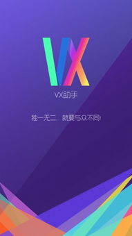 VX助手 (图3)