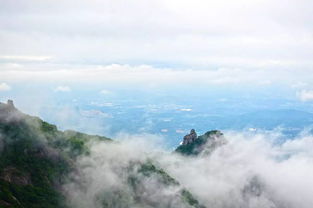 云上罗山,探寻温州的绿色仙境(图1)