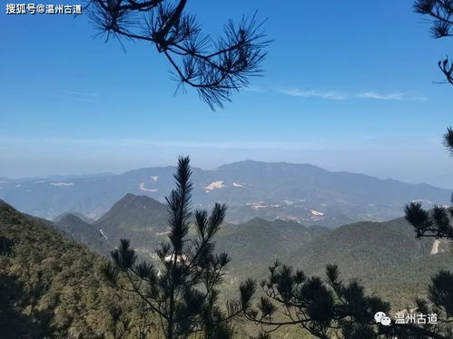 云上罗山,探寻温州的绿色仙境(图2)