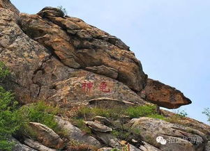 云上罗山,探寻温州的绿色仙境(图4)