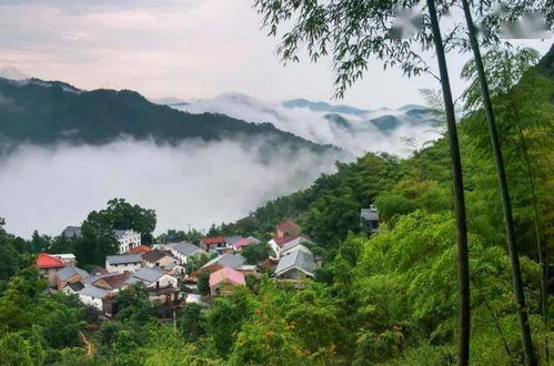 云上罗山,探寻温州的绿色仙境(图7)