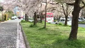 最新的樱花校园模拟器英文版 (图2) 最新的樱花校园模拟器英文版 (图2)