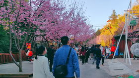最新的樱花校园模拟器英文版 (图3) 最新的樱花校园模拟器英文版 (图3)