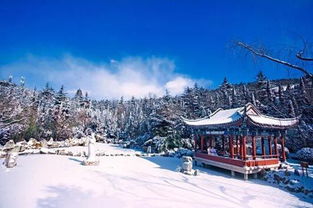 南山雪(图1) 南山雪(图1)