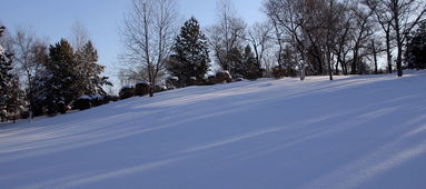 南山雪(图2) 南山雪(图2)