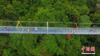 悬索游戏,挑战极限的虚拟冒险(图1) 悬索游戏,挑战极限的虚拟冒险(图1)