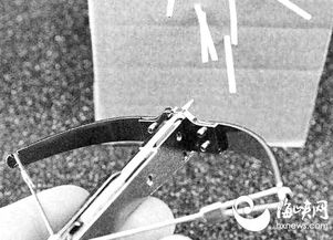 牙签弩游戏,趣味与安全的双重考量(图1) 牙签弩游戏,趣味与安全的双重考量(图1)