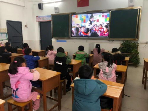 一起作业英语app下载小学生 (图3)