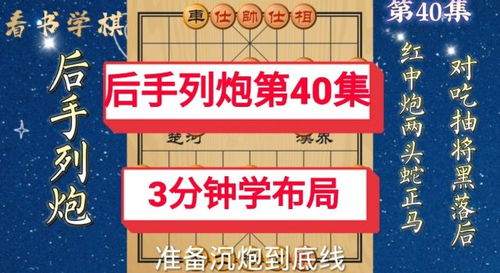 对称棋游戏,对称棋游戏中的策略与智慧(图2)