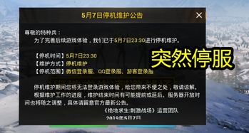 没有停机游戏,揭秘永不间断的在线游戏传奇(图3)