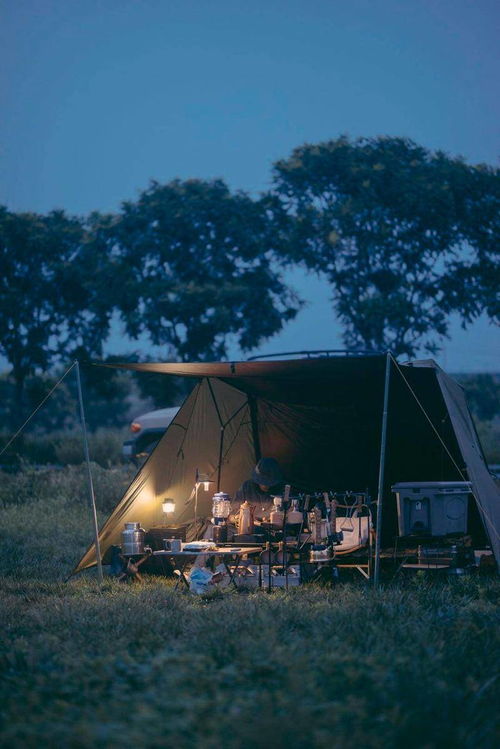 露营小屋游戏,露营小屋游戏的奇幻冒险之旅(图3)