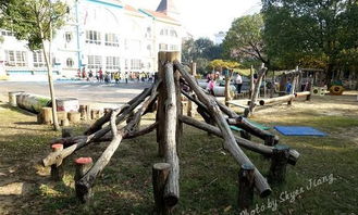 户外安吉游戏,培养幼儿自主探索精神的安吉户外游戏实践(图3)