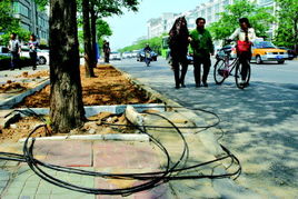 挖花坛游戏,体验田园生活的乐趣与挑战(图2) 挖花坛游戏,体验田园生活的乐趣与挑战(图2)