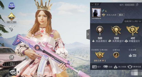 游戏名价值,探寻伤痛转移的奥秘(图1) 游戏名价值,探寻伤痛转移的奥秘(图1)