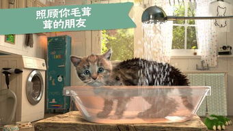 小猫钻洞游戏,锻炼宝宝协调能力与探索精神”(图3) 小猫钻洞游戏,锻炼宝宝协调能力与探索精神”(图3)