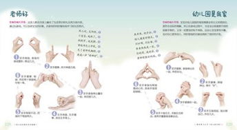 操手指游戏,幼儿园手指游戏活动解析(图1)