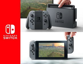 新游戏switch,新任天堂Switch游戏体验全解析(图3)