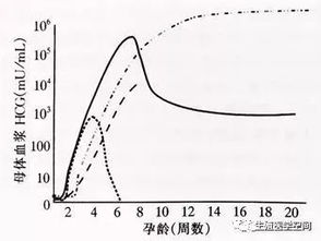 HCG图游戏,探索虚拟世界的无限魅力(图1)