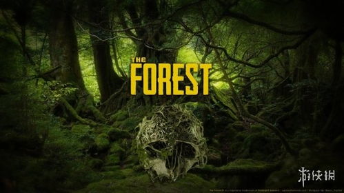 丛林游戏pc,PC版丛林游戏深度解析(图1) 丛林游戏pc,PC版丛林游戏深度解析(图1)