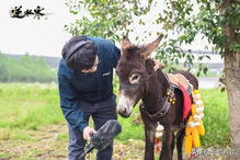憋驴游戏,趣味横生的团队协作挑战(图1) 憋驴游戏,趣味横生的团队协作挑战(图1)