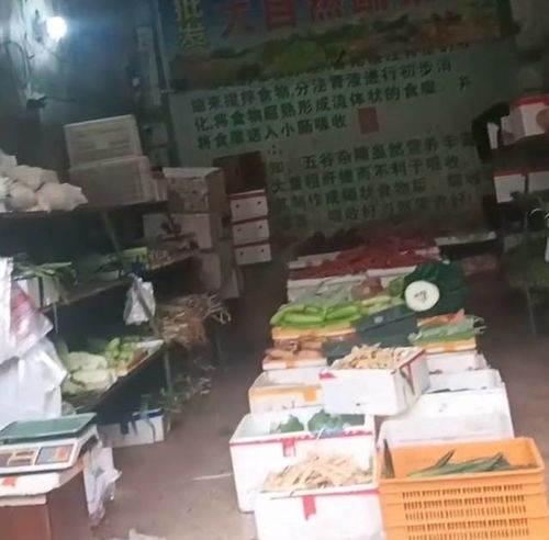 靠游戏卖菜,畅享绿色生活新篇章(图1) 靠游戏卖菜,畅享绿色生活新篇章(图1)