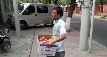 靠游戏卖菜,畅享绿色生活新篇章(图3) 靠游戏卖菜,畅享绿色生活新篇章(图3)