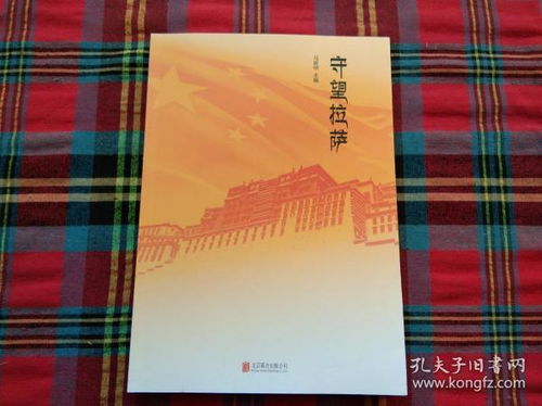 拉萨游戏本,畅游虚拟拉萨(图3) 拉萨游戏本,畅游虚拟拉萨(图3)