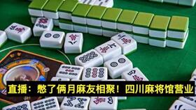 盲人麻将游戏,感知与智慧的交融(图1)