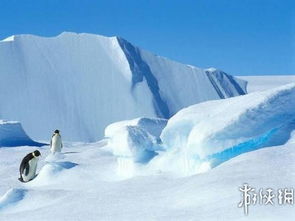 南极游戏吗,游戏中的冰雪奇缘与智慧挑战(图3)