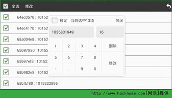 游戏修改代理,独家代理助力打造极致游戏环境(图1)