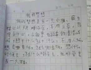 作文游戏趣事,趣味盎然的游戏趣事(图3)