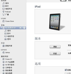 ipad游戏签证,iPad游戏签证带你畅游虚拟冒险之旅(图3)