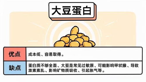 蛋白爱游戏,探索虚拟世界的无限魅力(图2)