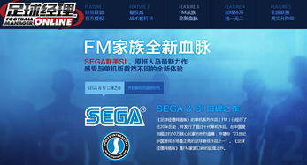 魂游戏fm,揭秘游戏音乐背后的灵魂共鸣(图1)