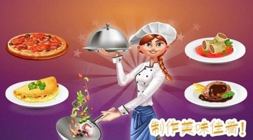 模拟煮饭游戏,模拟煮饭游戏深度体验(图1)