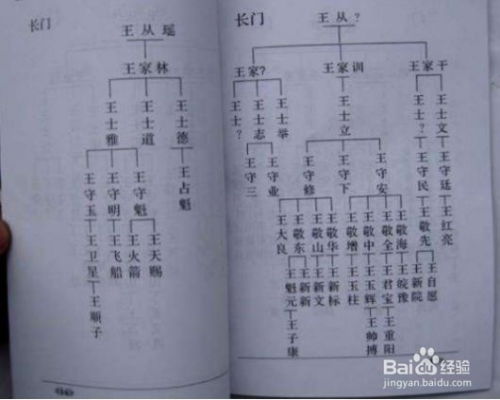 游戏家族谱,新主角洛克·霍华德开启格斗新篇章(图3)