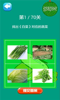 游戏认识蔬菜,寓教于乐的蔬菜认知游戏体验(图1)