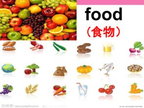 food课件游戏,Food课件游戏深度解析(图3)