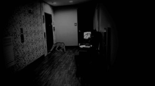 恐怖游戏65,揭秘恐怖游戏65的惊悚奥秘(图2) 恐怖游戏65,揭秘恐怖游戏65的惊悚奥秘(图2)