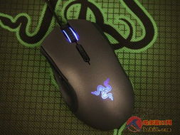 蟒蛇王游戏,进化之旅(图3) 蟒蛇王游戏,进化之旅(图3)