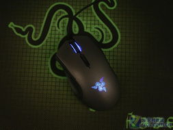 蟒蛇王游戏,进化之旅(图1) 蟒蛇王游戏,进化之旅(图1)