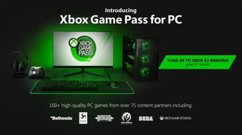 xbox游戏pc,畅享跨平台游戏体验的完美选择(图3)