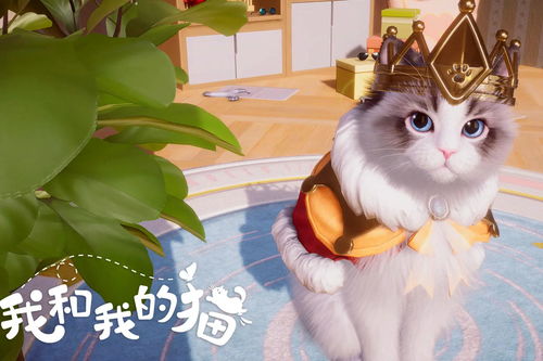 游戏养猫猫,打造你的专属萌宠咖啡屋(图2) 游戏养猫猫,打造你的专属萌宠咖啡屋(图2)