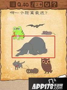 最囧游戏全部攻略,脑洞大开挑战(图3) 最囧游戏全部攻略,脑洞大开挑战(图3)