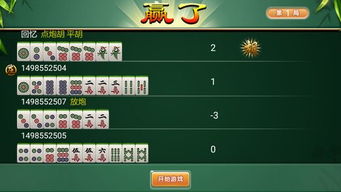 麻将游戏裸,从传统玩法到创新游戏体验(图2) 麻将游戏裸,从传统玩法到创新游戏体验(图2)