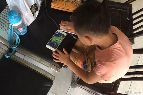 限制小孩游戏,构建健康游戏环境策略探讨”(图3) 限制小孩游戏,构建健康游戏环境策略探讨”(图3)