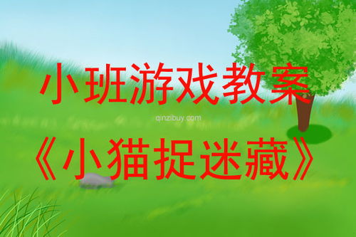 小班游戏捉迷藏,小班捉迷藏游戏促进幼儿全面发展(图1) 小班游戏捉迷藏,小班捉迷藏游戏促进幼儿全面发展(图1)