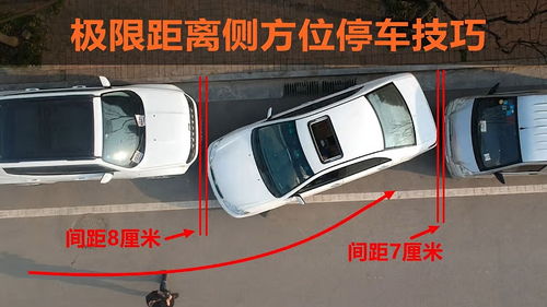 侧方位停车游戏,侧方位停车游戏精选与攻略(图1) 侧方位停车游戏,侧方位停车游戏精选与攻略(图1)