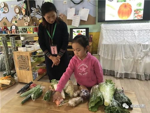 幼儿园蔬菜游戏,培养幼儿健康饮食习惯”(图2) 幼儿园蔬菜游戏,培养幼儿健康饮食习惯”(图2)